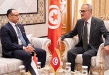 Coopération tuniso-égyptienne : focus sur l’économie, la culture et la coordination diplomatique