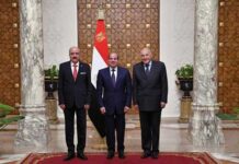 Égypte–Tunisie : Abdel Fattah al-Sissi et Mohamed Ali Nafti renforcent la coopération bilatérale au Caire