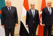 Crise libyenne : le mécanisme tripartite des pays voisins appelle à un règlement sans ingérence étrangère