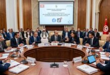 E-commerce sur Facebook et TikTok : le Parlement tunisien prépare un tour de vis réglementaire Commerce en ligne