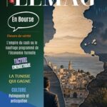 WMC LEMAG 254