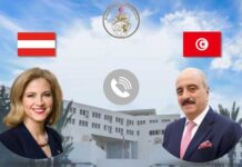 Diplomatie tunisienne : Nafti mise sur un partenariat stratégique renforcé avec l’Autriche et l’UE