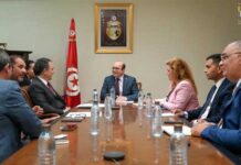 Tourisme tunisien : cap sur le Brésil pour booster les échanges et les flux touristiques