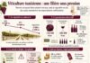 Infographie Viticulture Vinicole