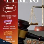 WMC LEMAG 255