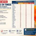 Canicule en Tunisie : jusqu’à 46 °C attendus ce week-end Météo
