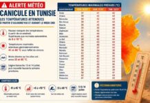 Canicule en Tunisie : jusqu’à 46 °C attendus ce week-end Météo