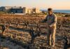 Vignoble Tunisien Crise