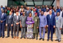 Lancement du Réseau des instituts diplomatiques africains avec la participation de la Tunisie