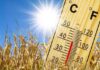Mercure en hausse : Des maximales atteignant 48°C et du sirocco au programme