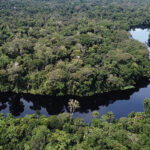 Bassin du Congo : 30 % des financements des systèmes alimentaires dédiés à l’agroécologie