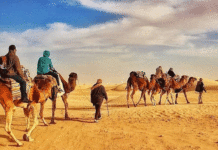 TOURISME — SAHARA | Tozeur : la saison saharienne se prépare, mais où sont les chiffres ?