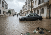 RISQUES CLIMATIQUES – Inondations : 37 MDT mobilisés et 2 600 km traités — la Tunisie est-elle mieux préparée ?
