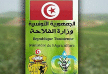 La Tunisie prépare son premier recensement agricole numérique, prévu pour la saison 2026-2027