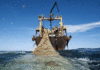 Accord de pêche : Nouakchott et Bruxelles entrent dans la dernière ligne droite