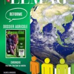 WMC LeMag n°258 : Réformes en Tunisie, du diagnostic à l’épreuve de l’exécution WMC LEMAG 258