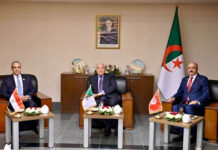Tunisie-Algérie-Égypte : une concertation pour résoudre la crise libyenne