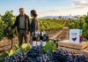 AGRICULTURE | Viticulture tunisienne : Le cri d’alarme des Vignerons de Carthage face aux blocages réglementaires Viticulture Tunisie